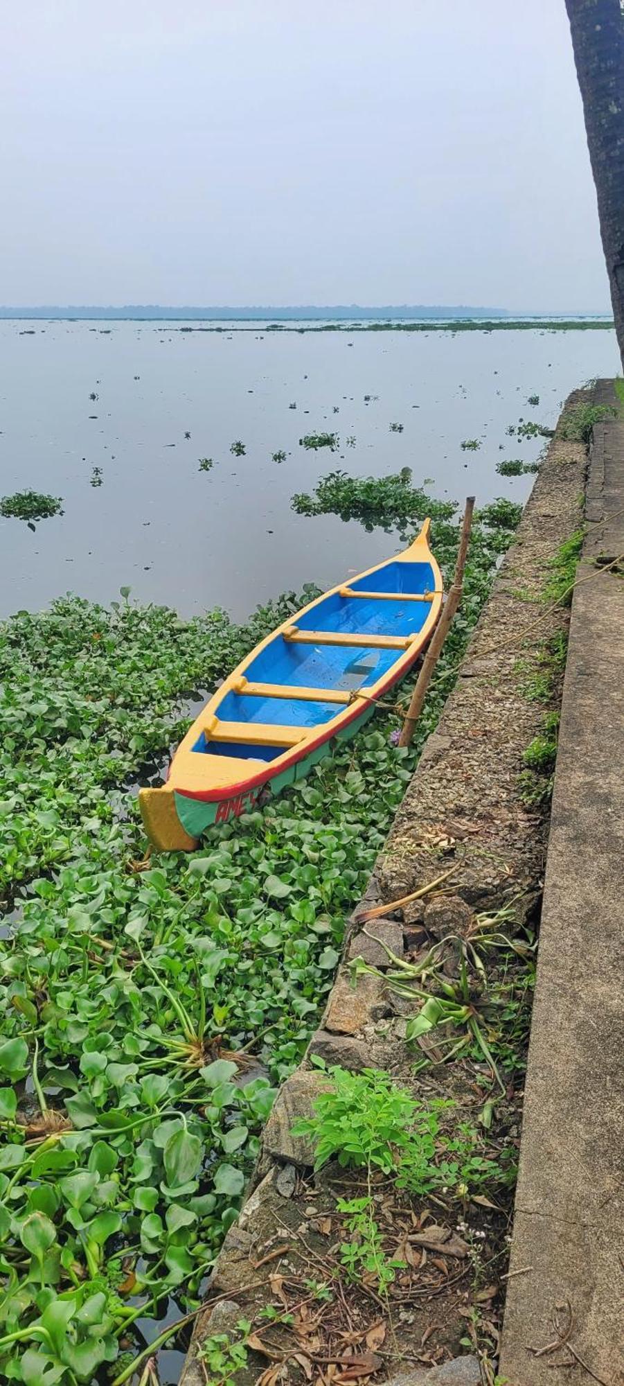 Ameya Kerala Hotel Alappuzha Exterior photo